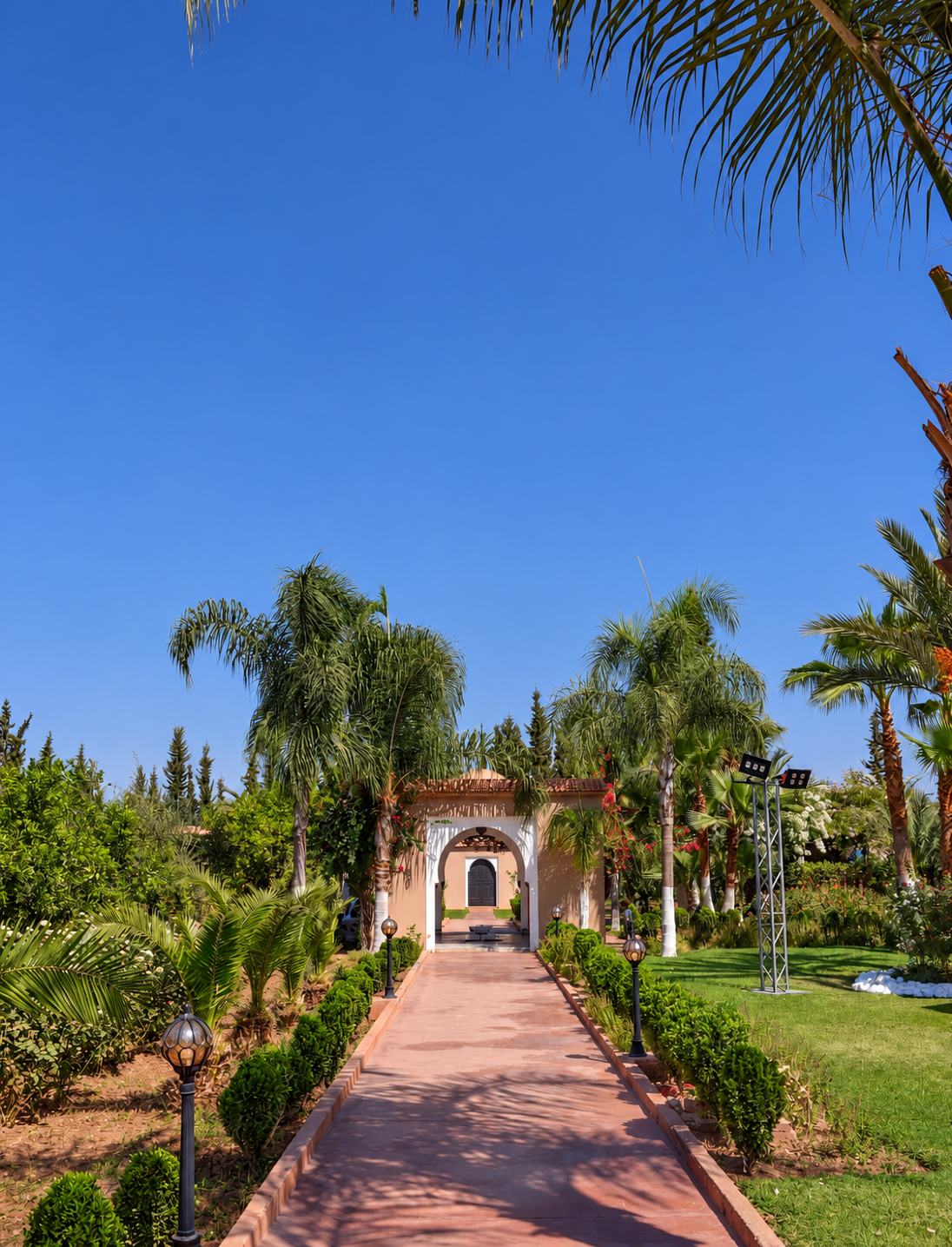 A palm-lined entrance path to the supplied Marrakech luxury residence.